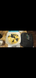 Screenshot_20260619_054813_Gallery.jpg